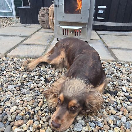Birch Cottage With Private Wood Fire Hot Tub Harrietsham Luaran gambar