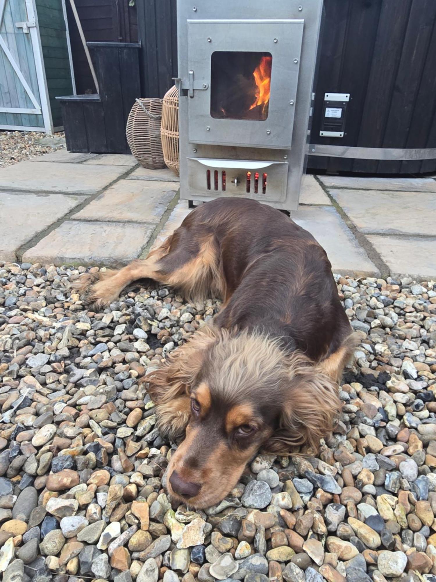 Birch Cottage With Private Wood Fire Hot Tub Harrietsham Luaran gambar